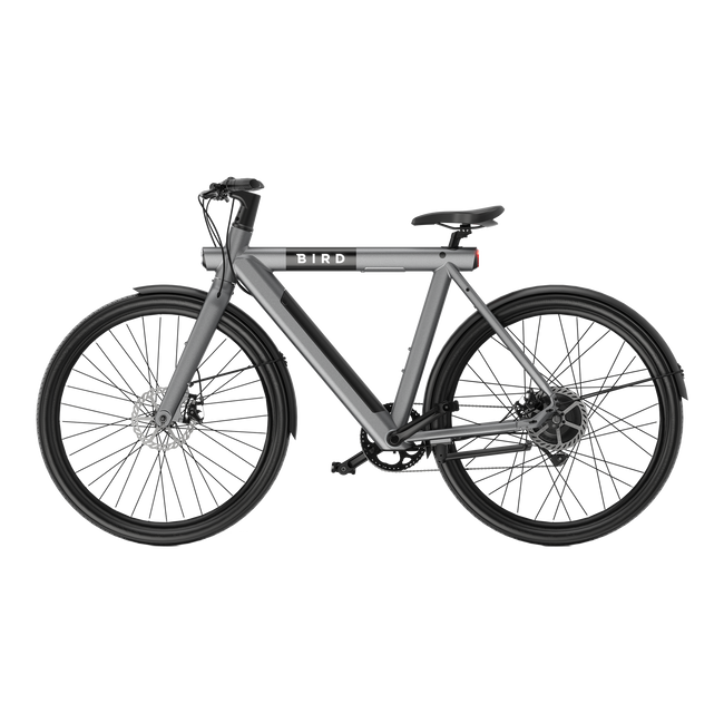 Bird Bike Grafity Gray