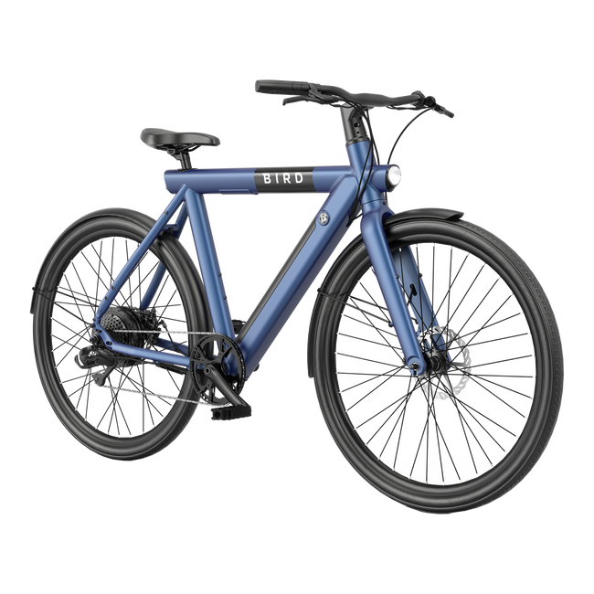 Bird Bike Starling Blue
