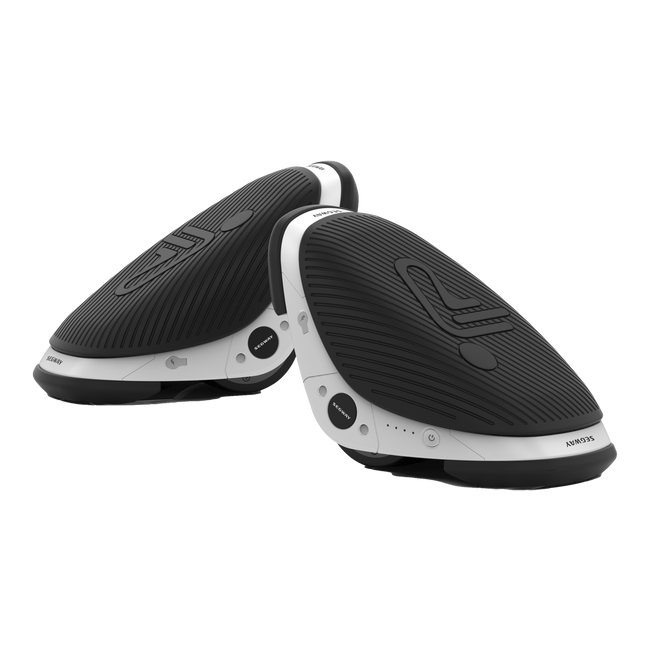 Segway-Ninebot Drift W1